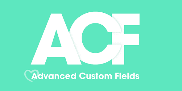 Advanced Custom Fields Pro - ACFP